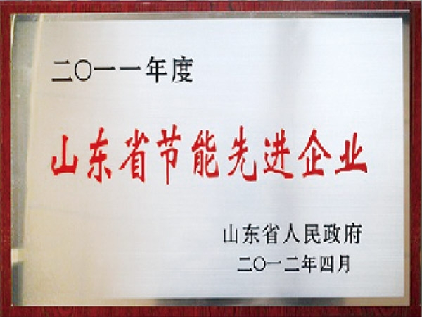 山東省節(jié)能先進(jìn)企業(yè)